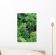 Hawaii, Big Island, Hamakua Coast, Lush Rainforest Along The Coast Wall Mural