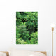 Hawaii, Big Island, Hamakua Coast, Lush Rainforest Along The Coast Wall Mural