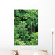 Hawaii, Big Island, Hamakua Coast, Lush Rainforest Along The Coast Wall Mural