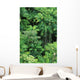 Hawaii, Big Island, Hamakua Coast, Lush Rainforest Along The Coast Wall Mural