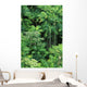 Hawaii, Big Island, Hamakua Coast, Lush Rainforest Along The Coast Wall Mural