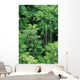 Hawaii, Big Island, Hamakua Coast, Lush Rainforest Along The Coast Wall Mural