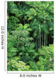 Hawaii, Big Island, Hamakua Coast, Lush Rainforest Along The Coast Wall Mural
