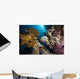 emperor angelfish and ocean Wall Mural