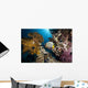 emperor angelfish and ocean Wall Mural