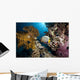 emperor angelfish and ocean Wall Mural