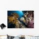 emperor angelfish and ocean Wall Mural
