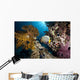 emperor angelfish and ocean Wall Mural
