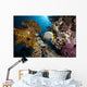 emperor angelfish and ocean Wall Mural