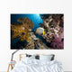 emperor angelfish and ocean Wall Mural