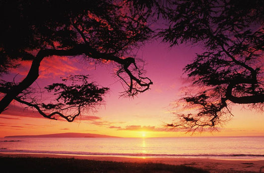 Hawaii, Maui, Sunset At Palauea Beach Wall Mural