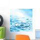 Water Drops Impact with