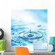 Water Drops Impact with