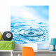 Water Drops Impact with