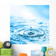 Water Drops Impact with