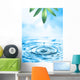 Beautiful Wellness motif Wall Mural
