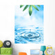 Beautiful Wellness motif Wall Mural