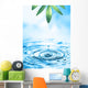 Beautiful Wellness motif Wall Mural
