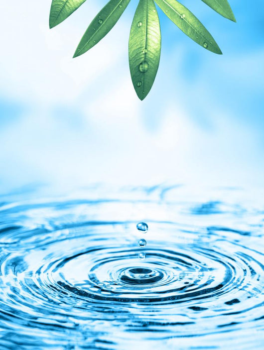 Beautiful Wellness motif Wall Mural
