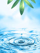 Beautiful Wellness motif Wall Mural