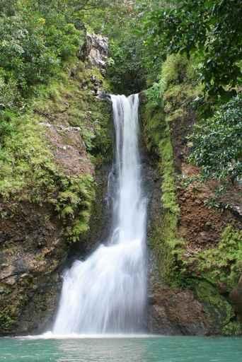 Waterfall 1 Wall Decal