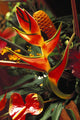 Bouquet With Heliconia And Ginger Wall Mural