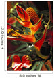 Bouquet With Heliconia And Ginger Wall Mural
