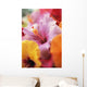 Hibiscus Flower Arrangement With Soft Focus Wall Mural