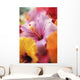 Hibiscus Flower Arrangement With Soft Focus Wall Mural