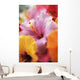 Hibiscus Flower Arrangement With Soft Focus Wall Mural
