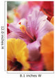 Hibiscus Flower Arrangement With Soft Focus Wall Mural