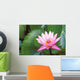 Pink Water Lily Surrounded By Leaves Wall Mural