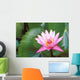 Pink Water Lily Surrounded By Leaves Wall Mural