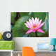 Pink Water Lily Surrounded By Leaves Wall Mural