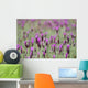 Field Of Purple Flowers Wall Mural