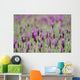 Field Of Purple Flowers Wall Mural