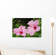 Close-Up Of A Pair Of Pink Hibiscus Wall Mural