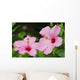 Close-Up Of A Pair Of Pink Hibiscus Wall Mural