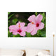 Close-Up Of A Pair Of Pink Hibiscus Wall Mural