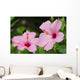 Close-Up Of A Pair Of Pink Hibiscus Wall Mural