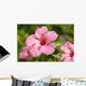 Close-Up Of A Pink Hibiscus Wall Mural