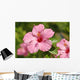 Close-Up Of A Pink Hibiscus Wall Mural
