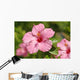 Close-Up Of A Pink Hibiscus Wall Mural