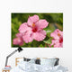 Close-Up Of A Pink Hibiscus Wall Mural
