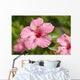 Close-Up Of A Pink Hibiscus Wall Mural