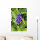 Close-Up Of Purple Cluster Of Flowers Wall Mural