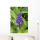 Close-Up Of Purple Cluster Of Flowers Wall Mural