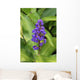 Close-Up Of Purple Cluster Of Flowers Wall Mural