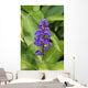 Close-Up Of Purple Cluster Of Flowers Wall Mural