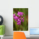 Close-Up Of A Cluster Of Bright Pink Orchids Wall Mural